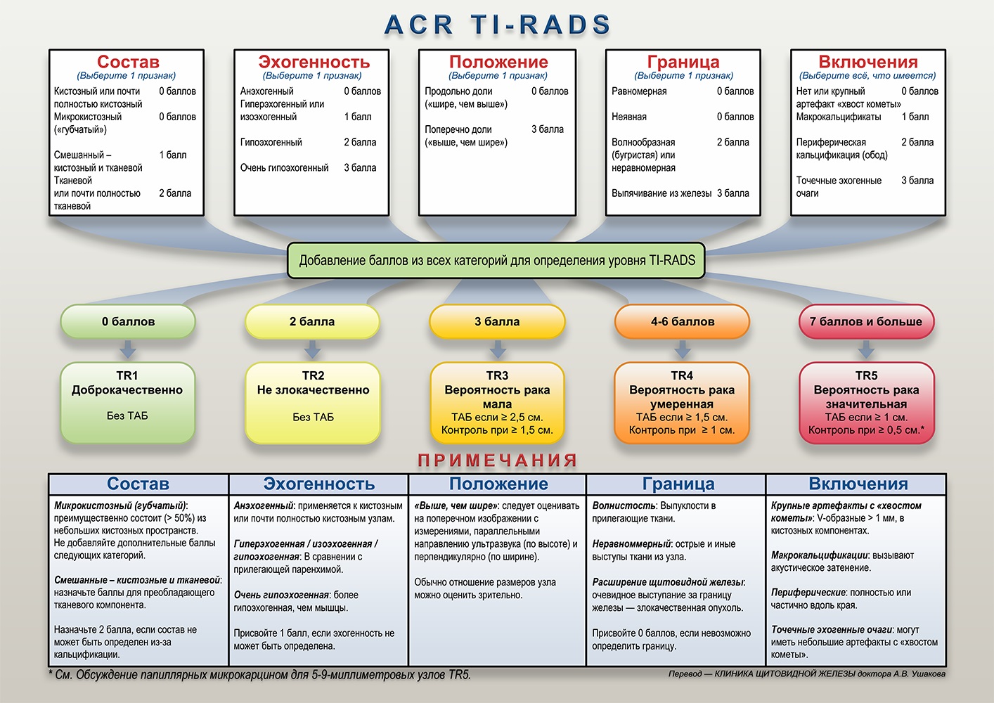 Классификация Tirads щитовидная железа УЗИ